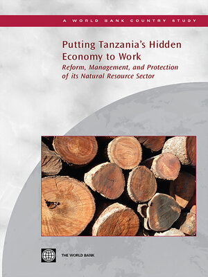 cover image of Putting Tanzania's Hidden Economy to Work
